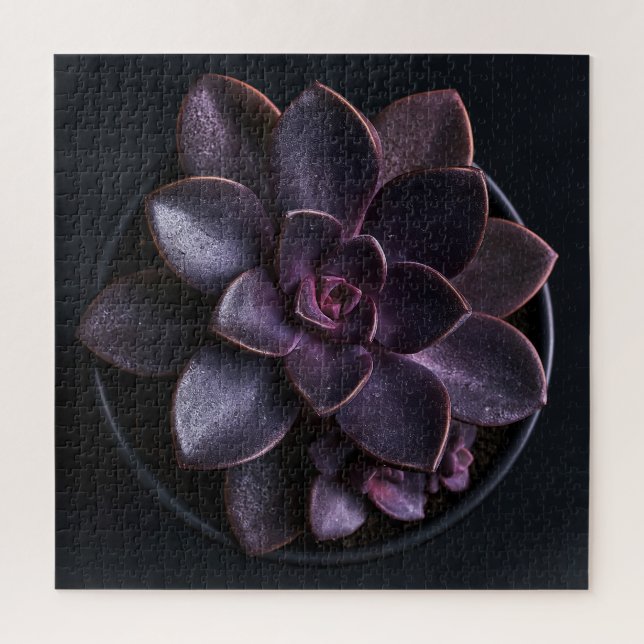 Puzzle Succulente  (Vertical)