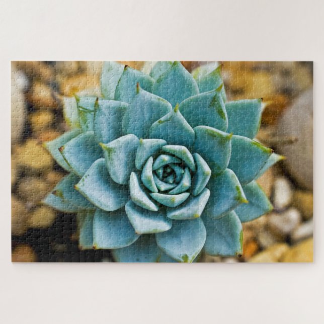 Puzzle Succulente (Horizontal)