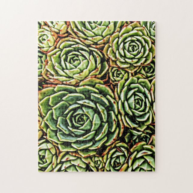 Puzzle Succulents (Vertical)