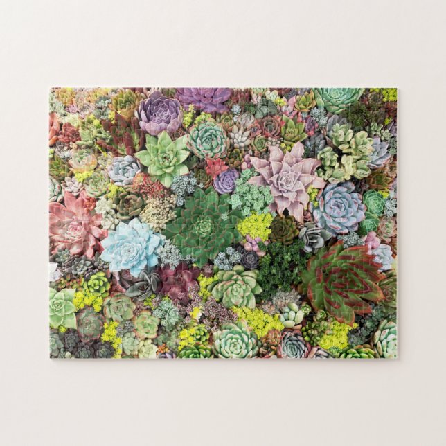 Puzzle Succulents colorés (Horizontal)