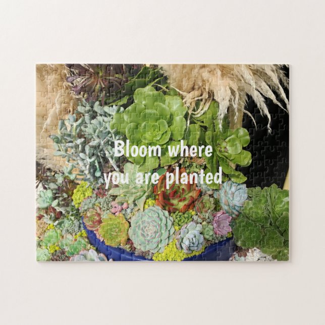 Puzzle Succulents colorés à l'herbe argentée (Horizontal)