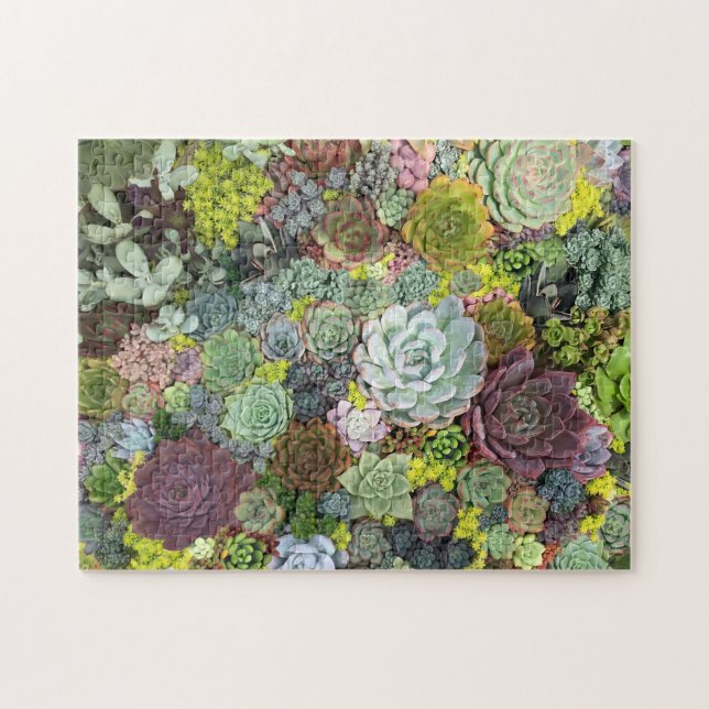 Puzzle Succulents de verdure (Horizontal)