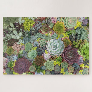 Puzzle Succulents de verdure