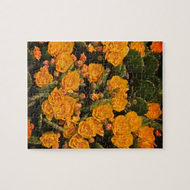 Puzzle Succulents Fleurs Jardin Jaune Vert Plantes (Horizontal)