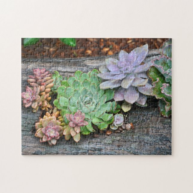 Puzzle Succulents Sur Bois Déchiré (Horizontal)