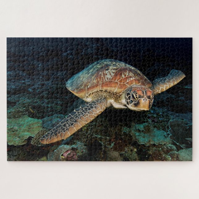 Puzzle Sulawesi| Tortue verte de mer (Horizontal)