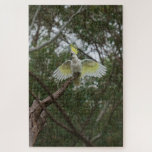 Puzzle Sulphur-crested Cockatoo Bird Animal, 1014 pieces<br><div class="desc">The raucous screech of the Sulphur-crested Cockatoo can be heard in many parts of eastern and northern Australia. A flock of hundreds of snow-white birds with pale-yellow crests can be a spectacular sight when seen in the distance, but up close their calls can be deafening. Being a gregarious species, these...</div>