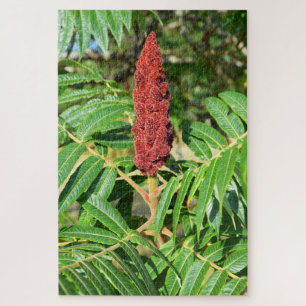 Puzzle Sumac en France
