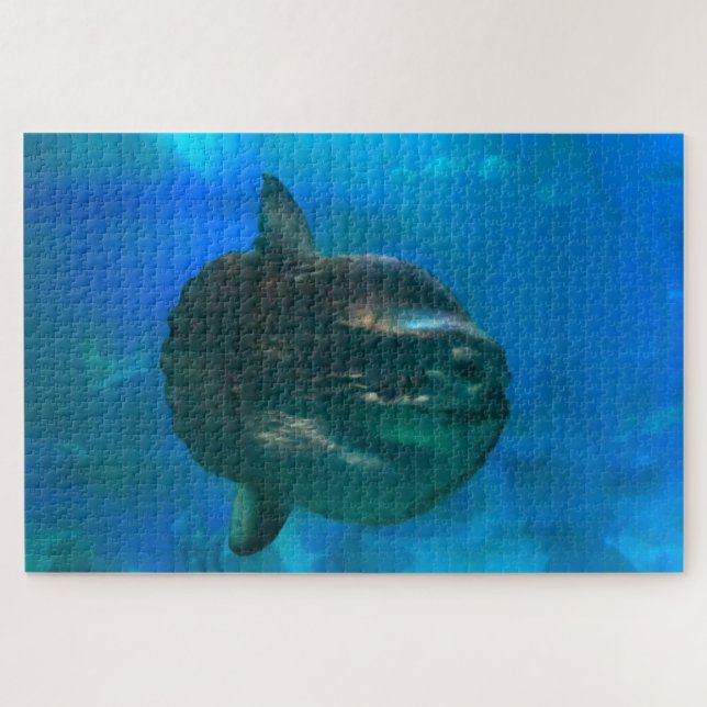 Puzzle Sun Fish. (Horizontal)