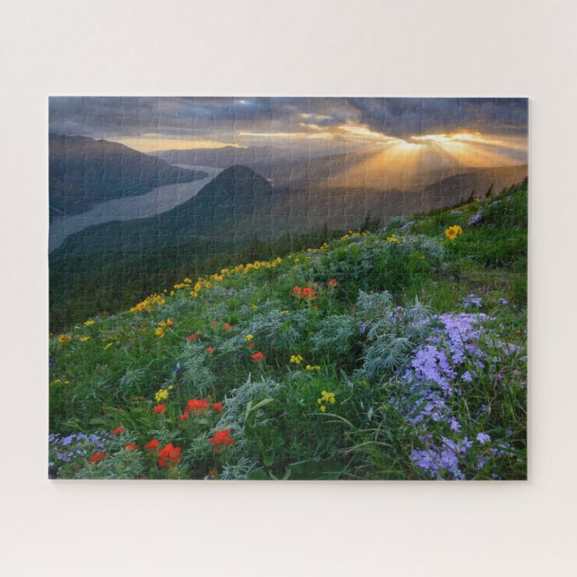 Puzzle Sun Rays Shine sur Fleurs sauvages sur Dog Mountai (Horizontal)