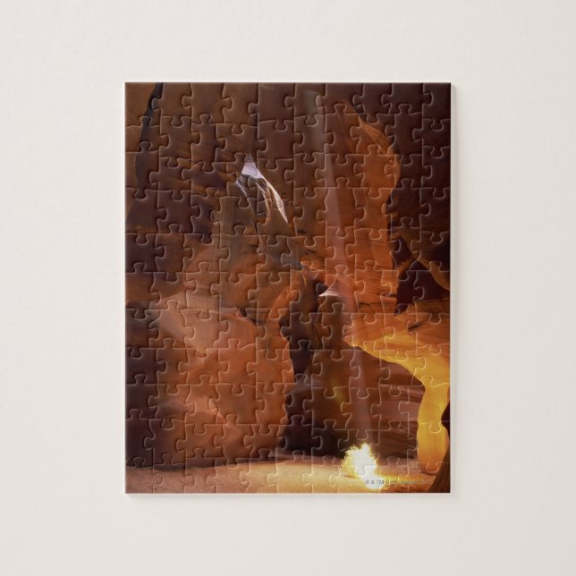 Puzzle Sunbeam frappant l'amarante sur le plancher de (Vertical)