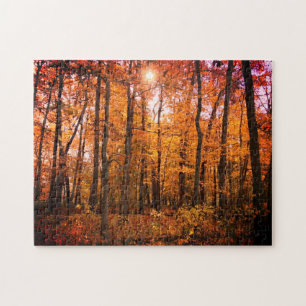 Puzzle Sunny Fall Woods