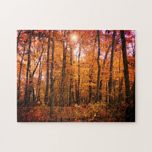 Puzzle Sunny Fall Woods (Horizontal)
