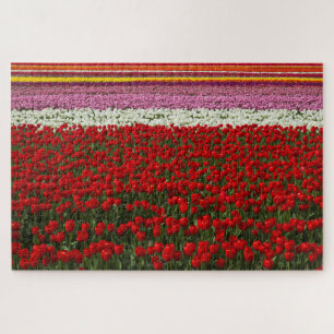 Puzzle Super Challenge Tulip Spring
