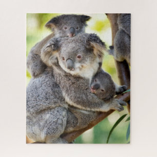 Puzzle Super Cute Koala Wildlife Family Group