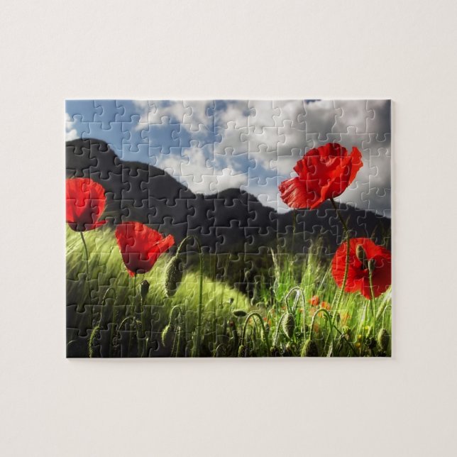 Puzzle sur la faune-Coquelicots rouges (Horizontal)