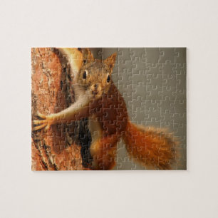Puzzle sur la faune-Écureuil Puzzle