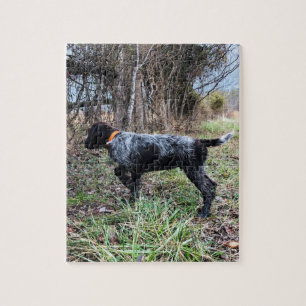 Puzzle Sur le chiot de point