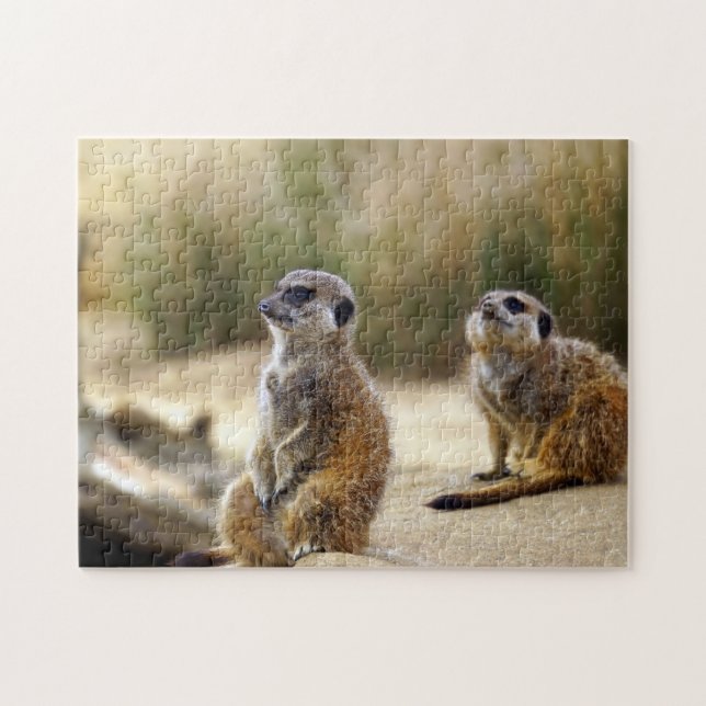 Puzzle Suricates. (Horizontal)