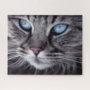 Puzzle Surreal Grey Chat Blue Eaux Famille Amusants Dur
