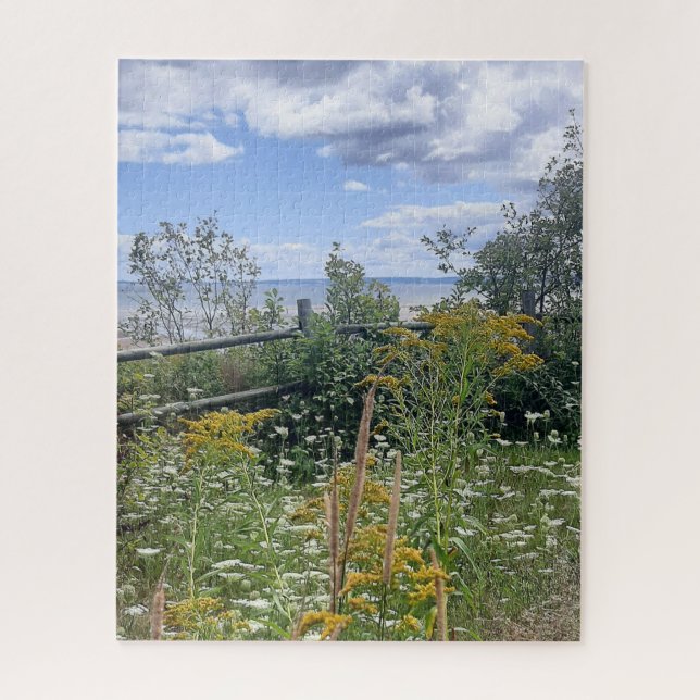 Puzzle Survol de prairie avec fleurs estivales (Vertical)