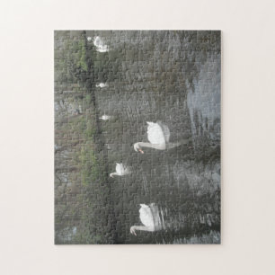 Puzzle Swain natation