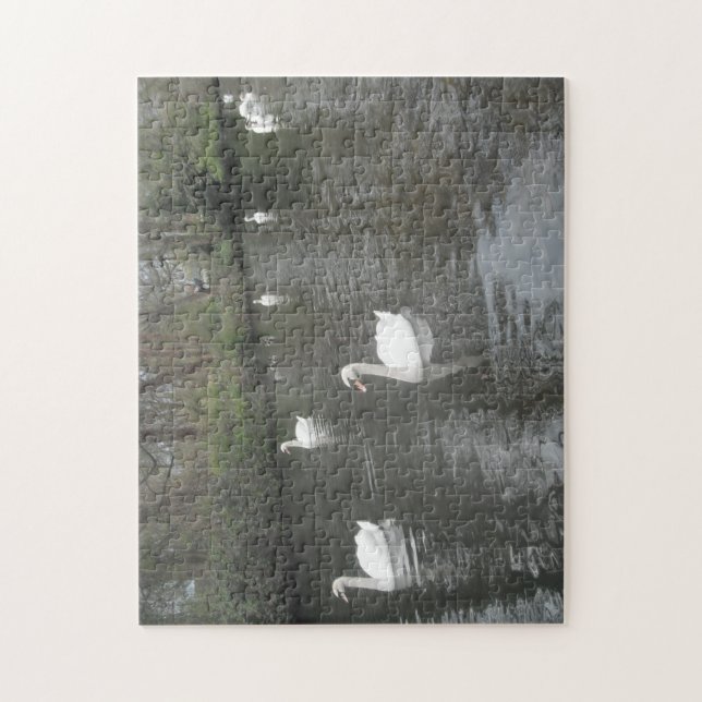 Puzzle Swain natation (Vertical)