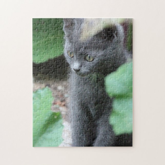 Puzzle Sweet Baby Kitten (Vertical)