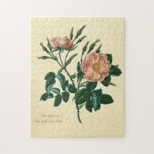 Puzzle Sweet Briar Rose (Vertical)