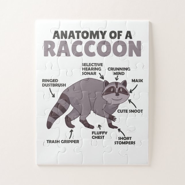 Puzzle Sweet Raccoon Explication Anatomie D'Un Raccoon (Vertical)
