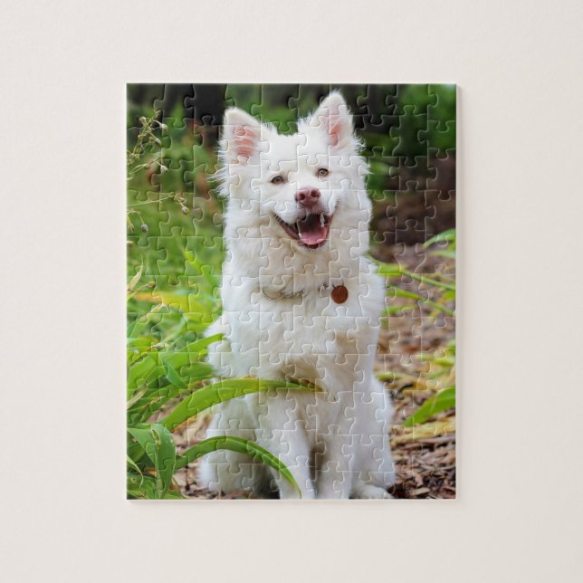 Puzzle Sweet White Lapp Hund Chien Green Arrière - plan P (Vertical)