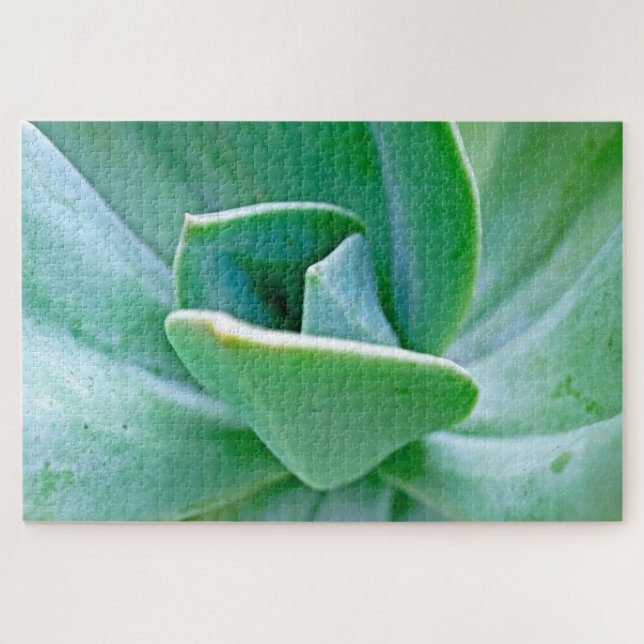Puzzle Swirl Succulent (Horizontal)