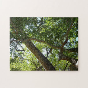 Puzzle Sycamore Tree Nature verte