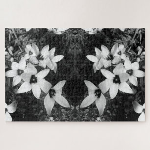 Puzzle Symétrie Silencieuse