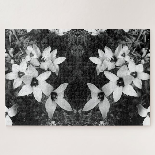 Puzzle Symétrie Silencieuse (Horizontal)