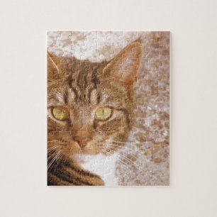 Puzzle Tabby Cat