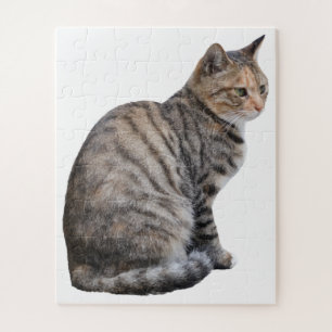 Puzzle Tabby Cat adulte