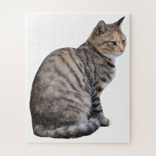 Puzzle Tabby Cat adulte (Vertical)
