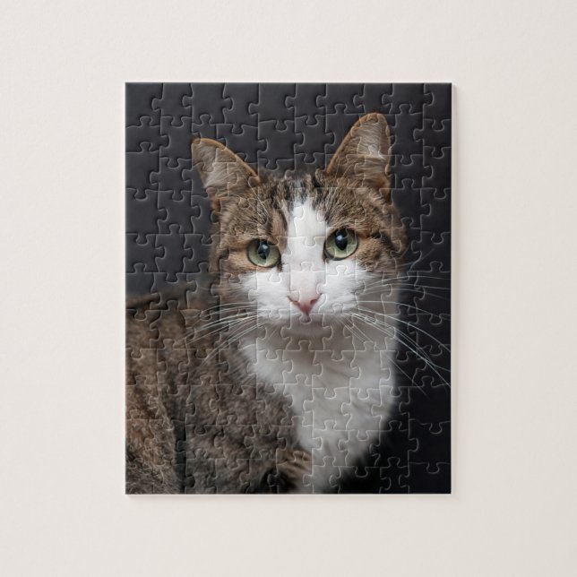 Puzzle Tabby Chat avec yeux verts contre Arrière - plan n (Vertical)