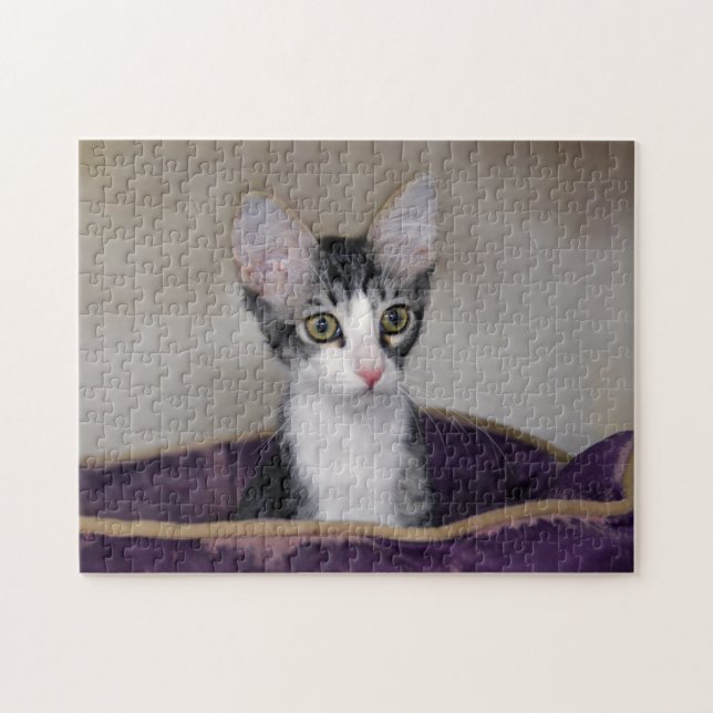 Puzzle Tabby Kitten dans un lit violet (Horizontal)
