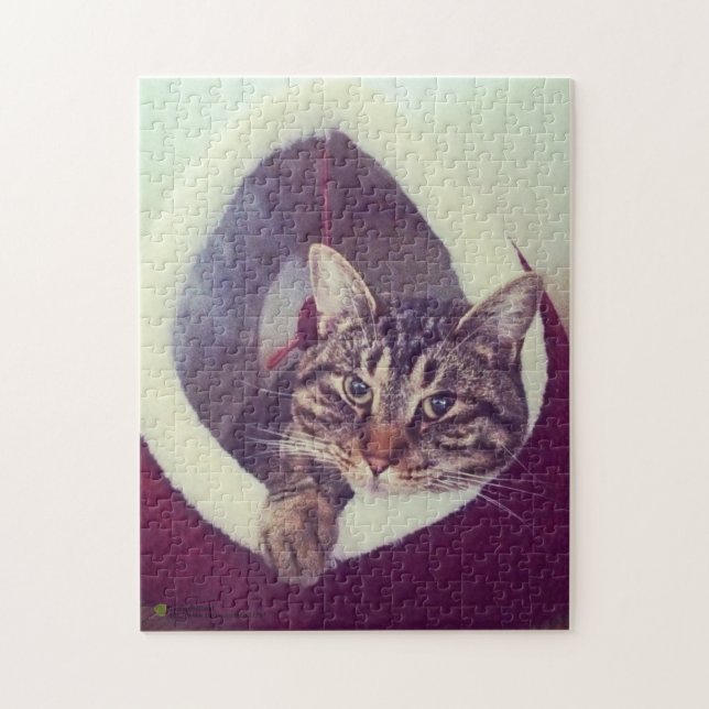 Puzzle Tabby Kitty Dans La Cabine Photo De Gros Plan (Vertical)