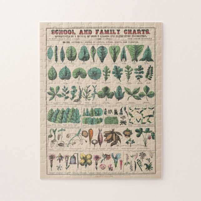 Puzzle Tableau antique de l'école botanique, nature vinta (Vertical)