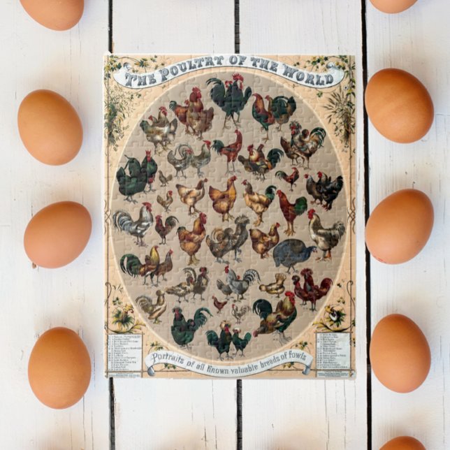 Puzzle Tableau des poulets et des coqs des volailles vint (Créateur téléchargé)