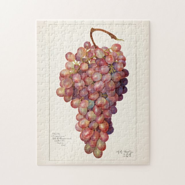 Puzzle Tableau vintage de raisins rouges (Vertical)