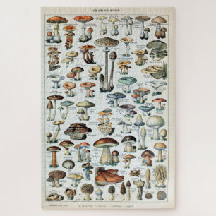Puzzle Tableau vintage des champignons comestibles