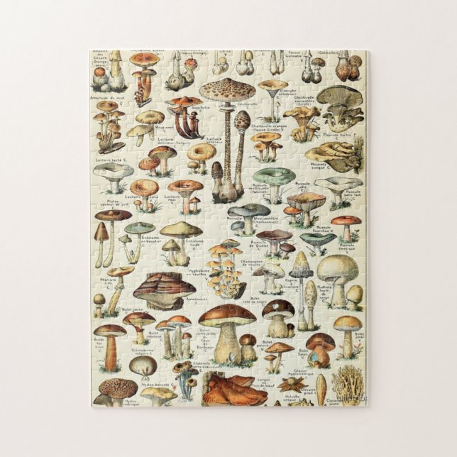 Puzzle Tableau vintage des champignons comestibles (Vertical)