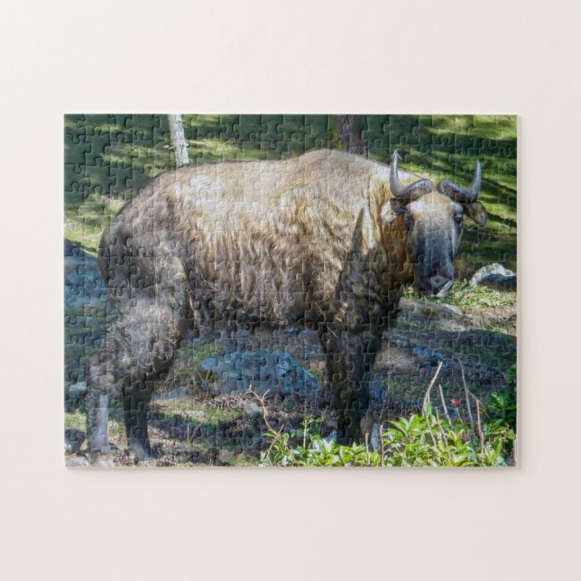 Puzzle Takin, animal national du Bhoutan - Himalaya, Asie (Horizontal)