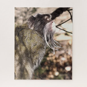 PUZZLE TAMARIN MONKEY
