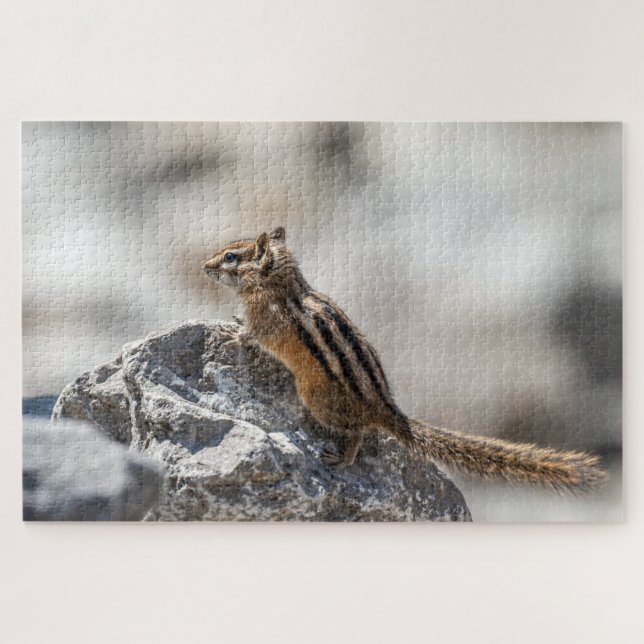 Puzzle Tamia sur les rochers – Instantané de la faune (Horizontal)