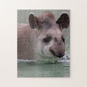 Puzzle Tapir_2015_0101